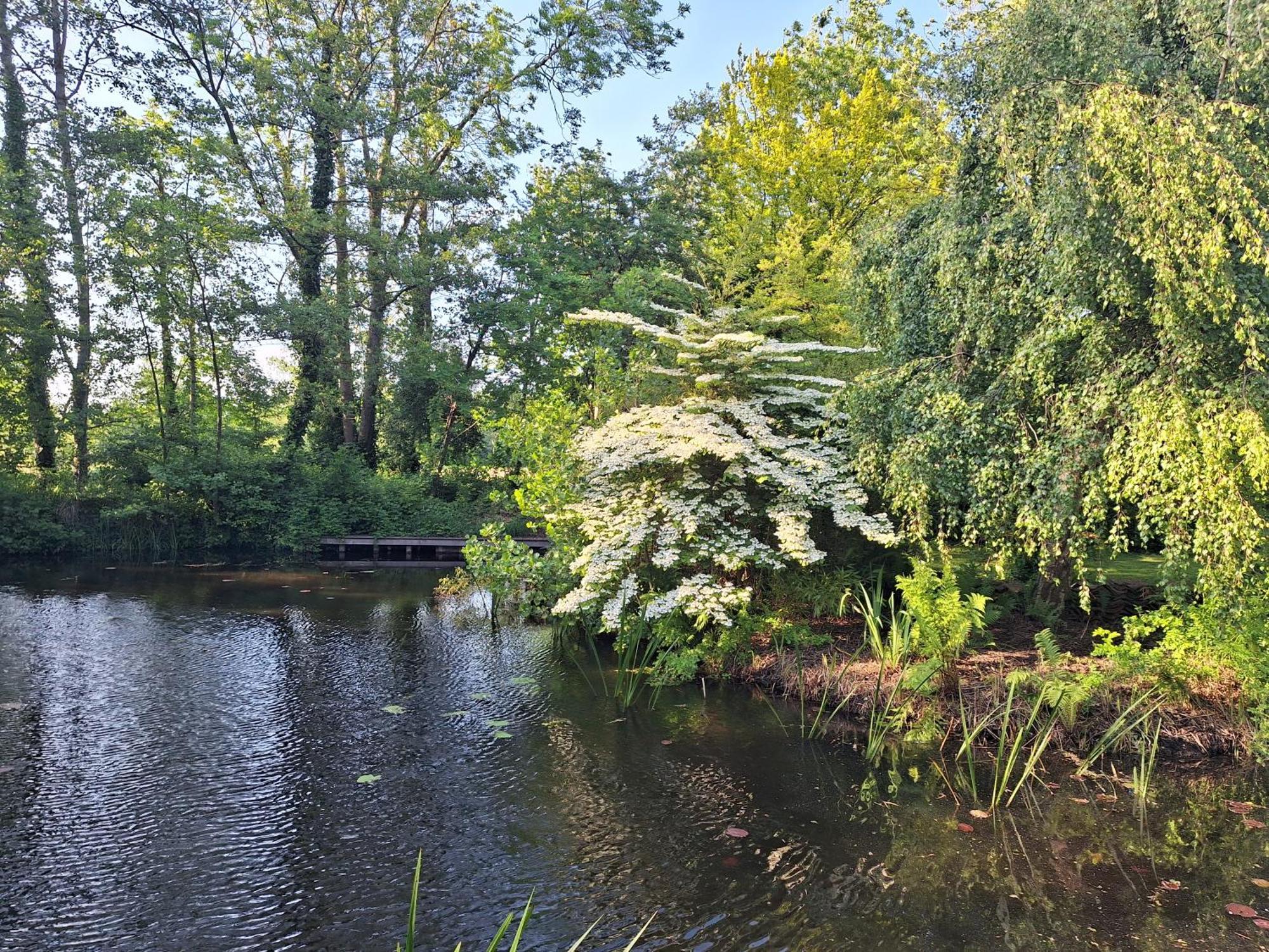 Villa De Consistorie Giethoorn Esterno foto